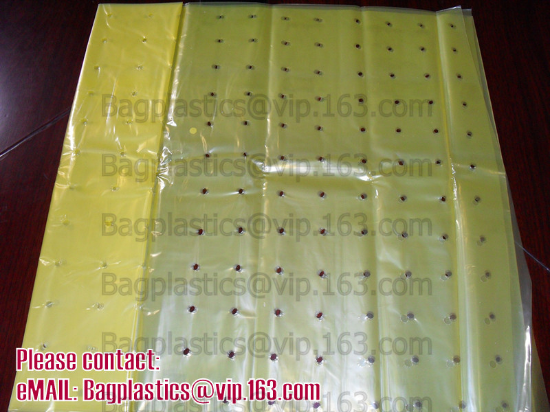 Multi-Span Plastic Film Cover Natural Ventilation Vegetable Greenhouse,Greenhouse Kits Plastic Greenhouse 200 micron gre