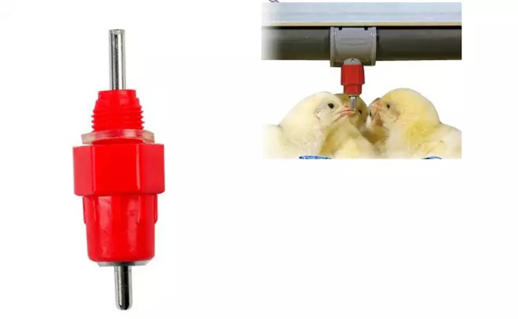 Stainless 11.5g Baby Chicken Nipple Drinker System