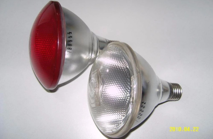 Small Pig Farm Equipment Infrared Led Heat Lamp For Pig Farrowing Crate