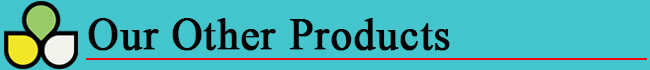 Photo Studio Matte Coated 260gsm PE Coating RC Photo Paper