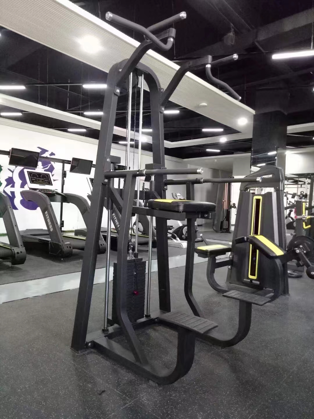 45 Degree Leg Press Hack Slide Gym Commercial Plate Loaded Calf Quads