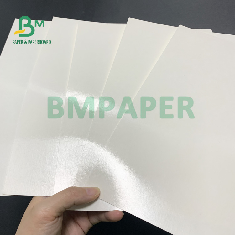 210gsm+15gsm Cup PE Film Coated Paper Good Brightness 615mm X 850mm 