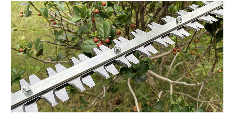 21V Garden Electric Hedge Trimmer Rechargeable Dual Blade Cordless Hedge Shears