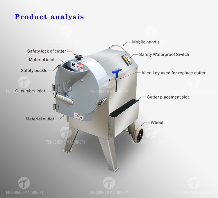 SS Slender No Sticky Edges Vegetable Processing Machine Tengsheng