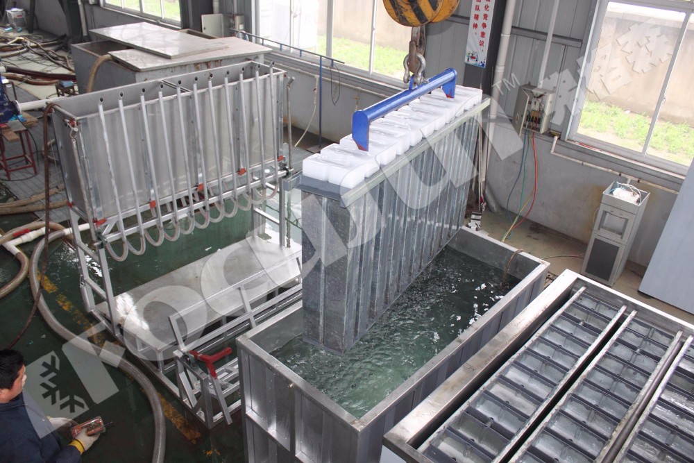 40000Kg Ice Storage Capacity and High Productivity 3 Ton Block Ice Machine with Type
