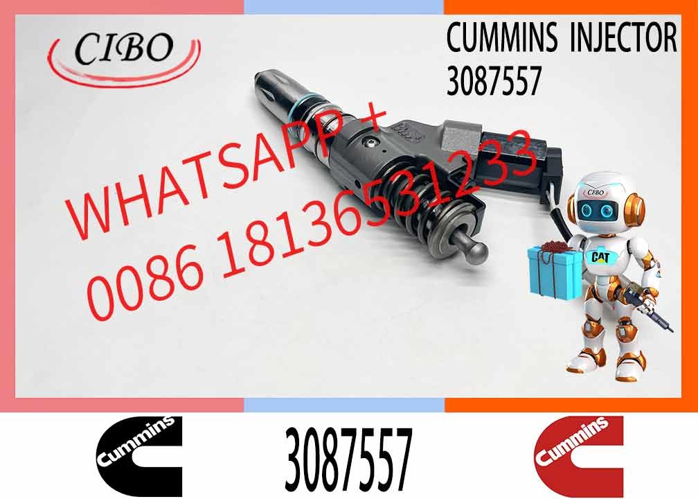 Common Rail Injector Fuel Injector 3411756 3083849 3087557 4307516 For M11 Excavator