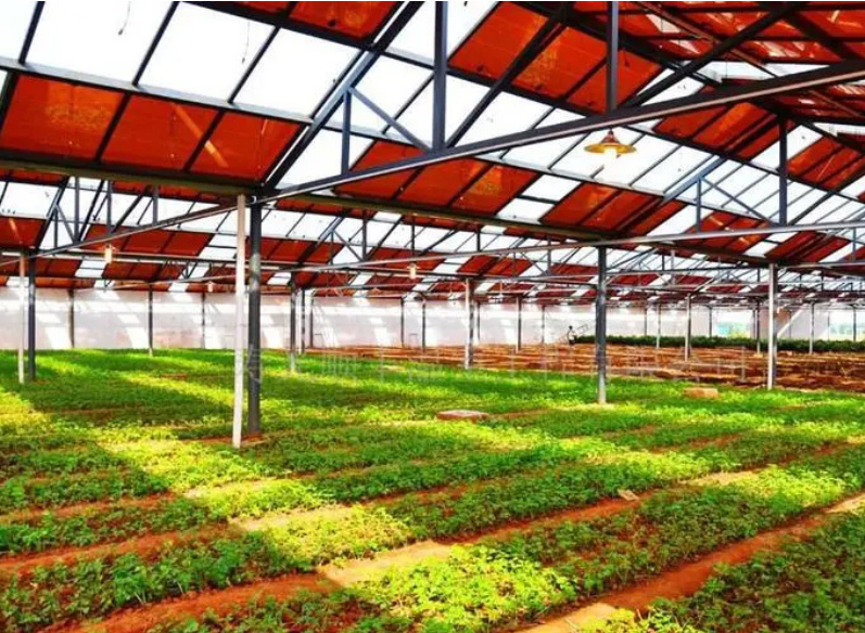 PE/Po Plastic Film Photovoltaic Greenhouse System