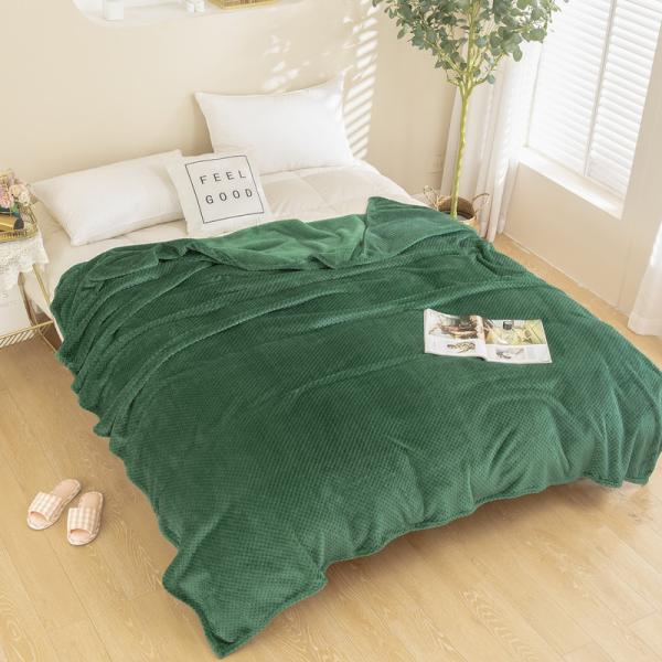 Adult Bed Sofa Chair Coral Fleece Blanket Solid Jacquard Design Ultimate Comfort
