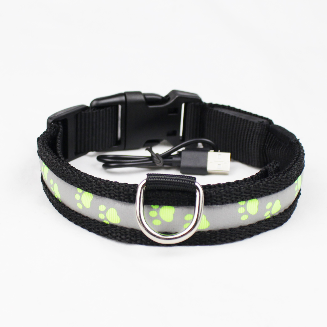 C903 Safety Nylon Webbing USB Rechargeable LED Pet Collar Leash Led Dog Collars in darkness