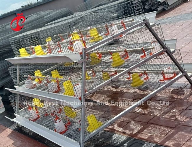 Galvanized 120 Capacity Brooder Chicken Cage Rearing Day Old Layer Chicks Iris
