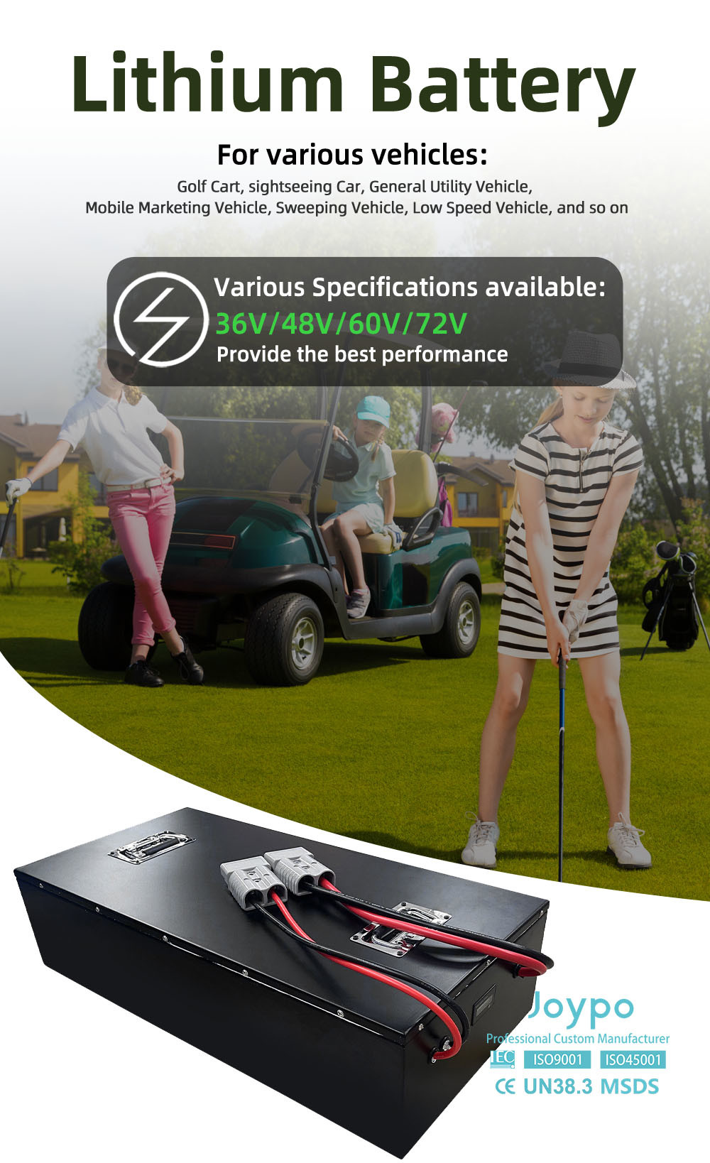 Deep Cycle 72V Lithium Golf Cart Batteries 100Ah 150Ah 200Ah For Security Service Carts