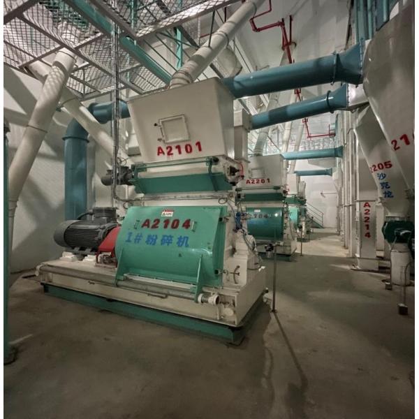 15T/H 20T/H 30T/H Floating Fish Pellets Plant Sinking Fish Aqua-feed Processing Granulator For Animal Feedstuff Pet Feed Making Machine