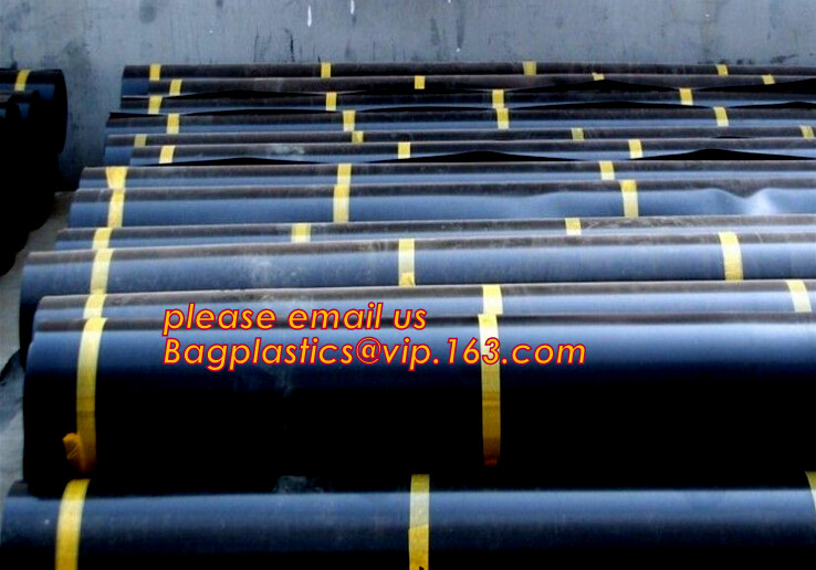 eco-friendly hdpe geomembrane liner geomembrane price,eco-friendly hdpe geomembrane liner waterproofing membranes BAGEAS