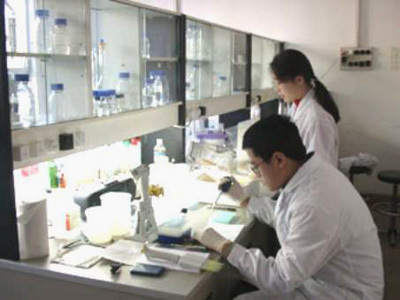 Y2O3 Powder / phosphor powder yttrium oxide Y2O3 99.99%