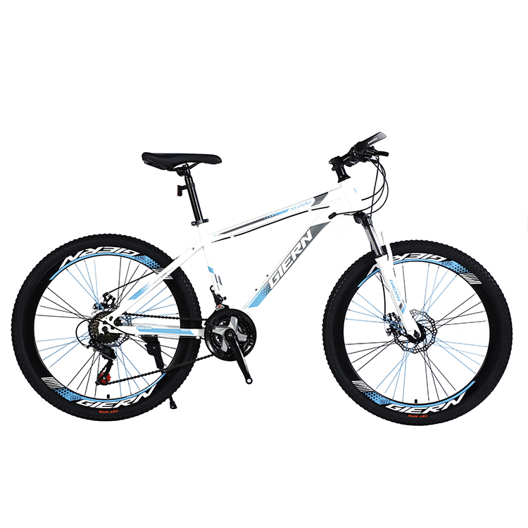 Carbon Steel Mountain Bike Mtb With Fork Suspension And 40MM Triple Wall Rim