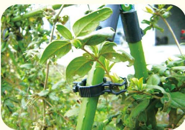 Customized Garden Plant Accessories Universal Clamp Cross Clamp Clip
