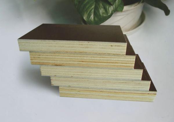 Film faced plywood specifications 1220x2440mm, 1250x2500mm, Thickness 9mm, 12mm,