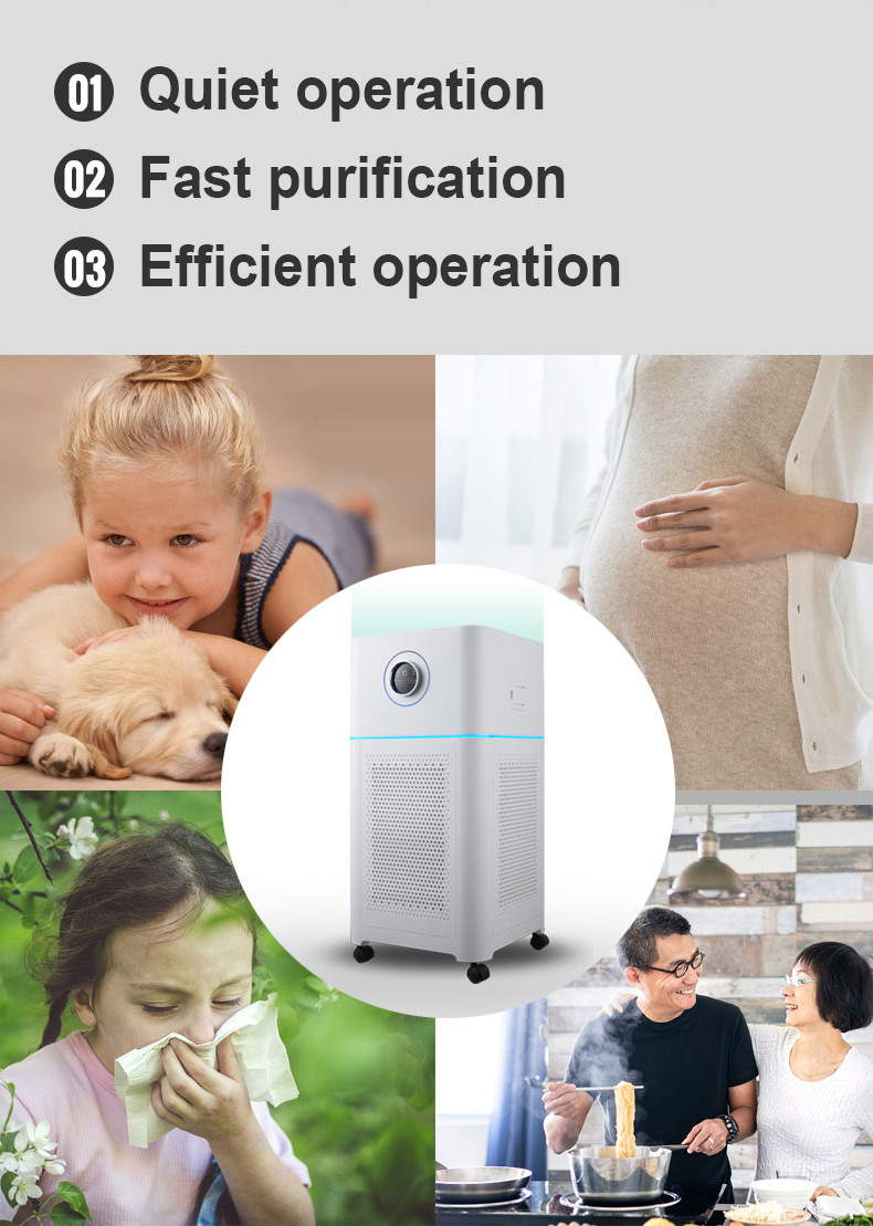 Household H11 H13 Portable Air Purifier for Negative Ion Ozone