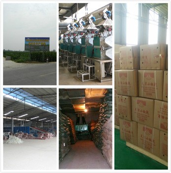 SHU100 Chilli Pepper Powder 8% Moisture Chile Powder For Fruit
