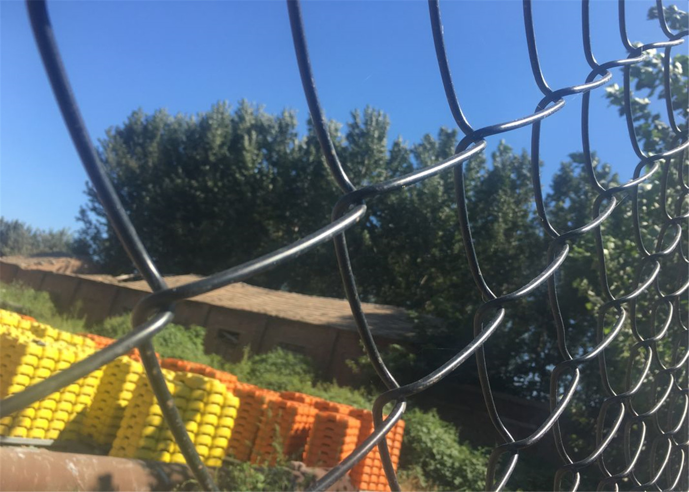 chain link fence for the park and tree ,Hot Sale Chain Link Fence for Playground Park / Forest Protecting