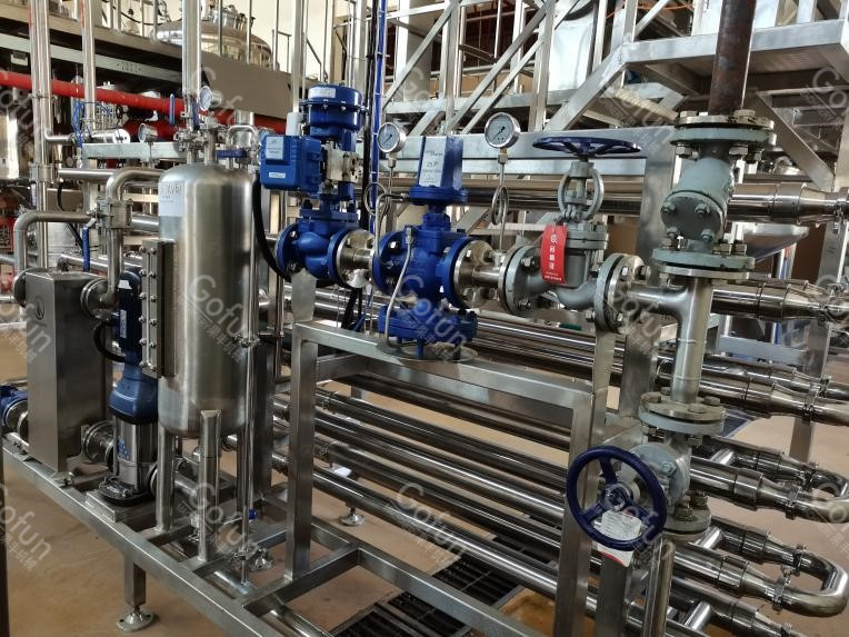 SUS304 Mango Paste Production Machine Mango Pulp Processing Wih Aseptic Bag