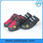 China Manufacturer Pet Supply Product Luxury Summer Cool Pet Dog Shoes