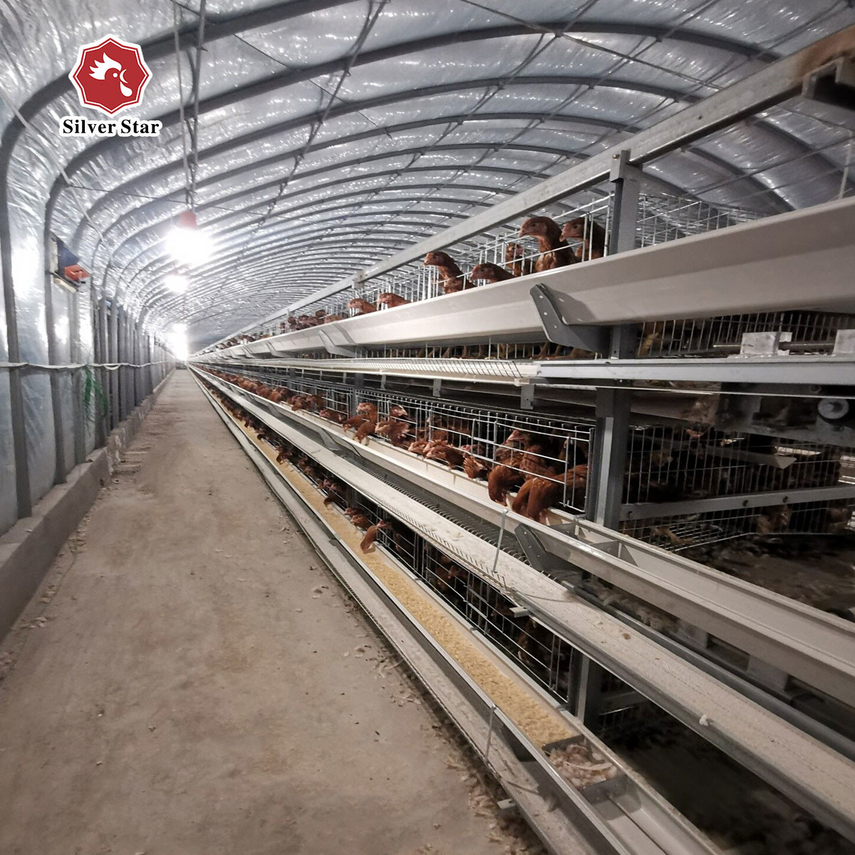 44*50*41 Cm Layer Chicken Cage Hot Dipped Galvanized