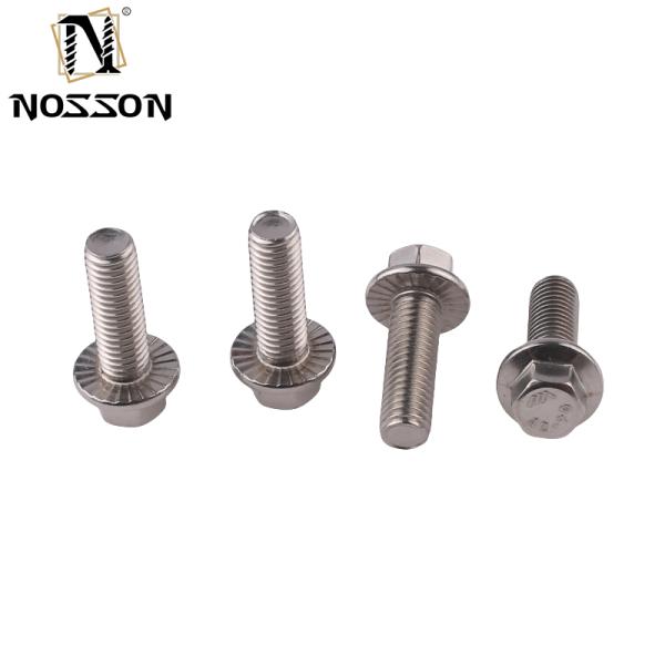 A2-70/A4-80/304/316 Grade Black Flange Bolt All Sizes with DIN Standard Stainless Steel