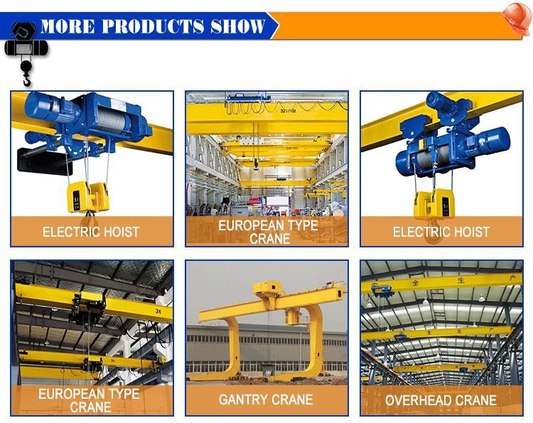 China durable European standard wire rope electric hoist for lifting, removing goods