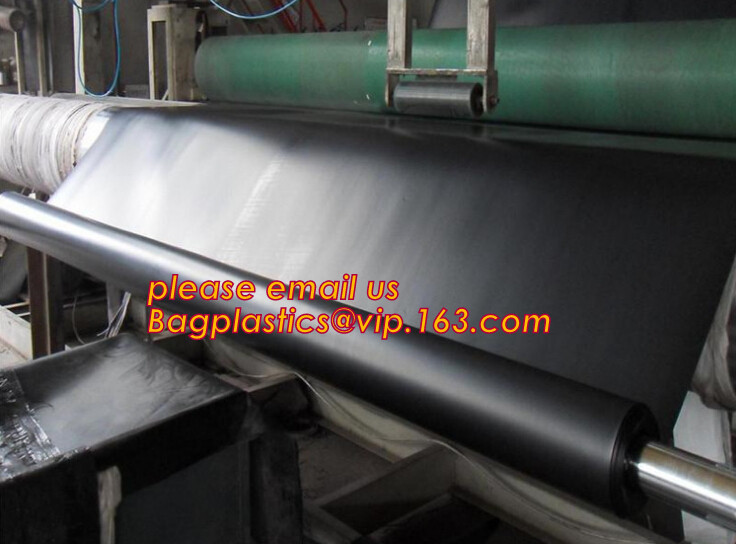 eco-friendly hdpe geomembrane liner geomembrane price,eco-friendly hdpe geomembrane liner waterproofing membranes BAGEAS