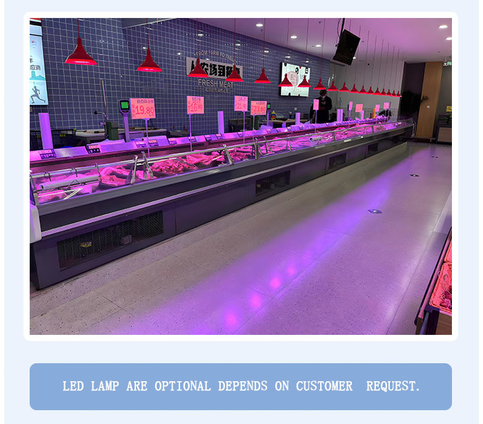 Frost - Free Meat Display Freezer