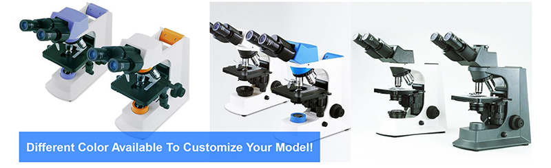 LED A12.2601-BT 400X Student Compound Microscope WF10x High Precision