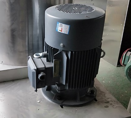 Screw Extruder Commercial Pasta Manufacturing Machine 30KW