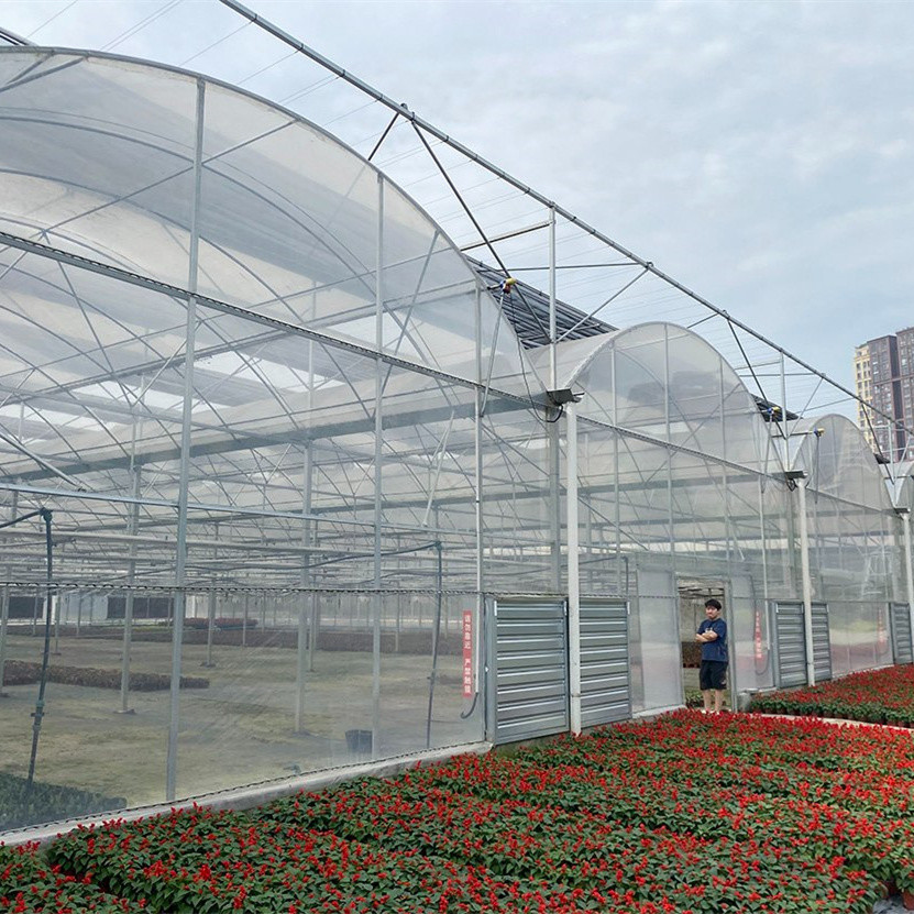 Prefabricated Tomatoes Tunnel Plastic Greenhouse / Film Multi Span Greenhouse
