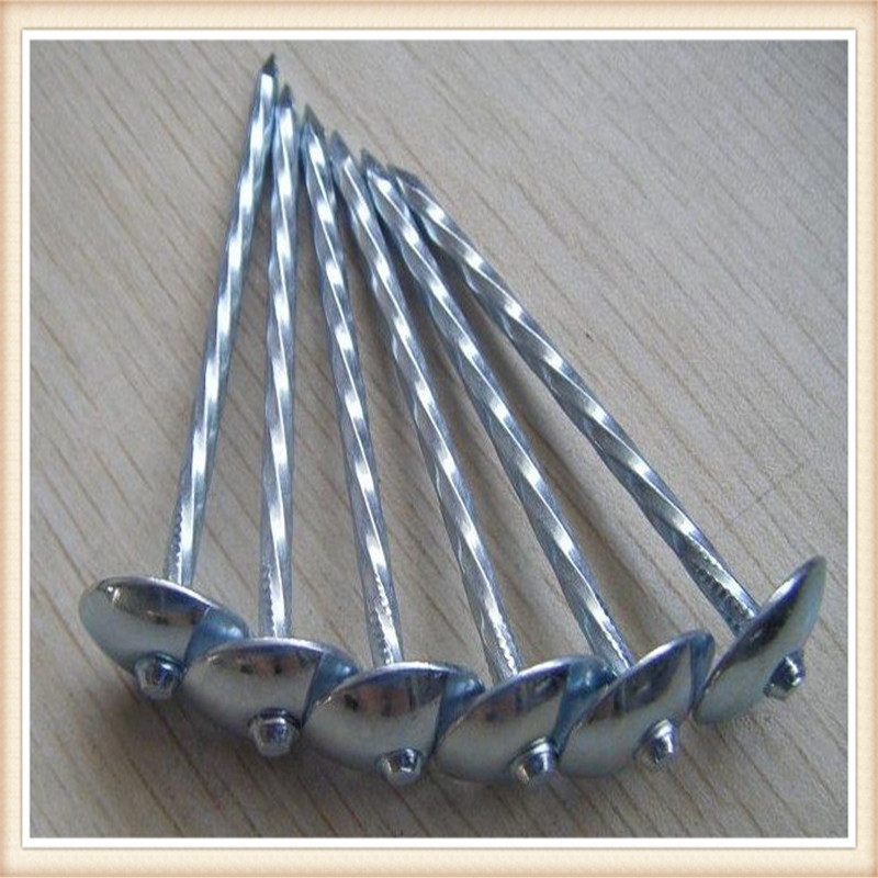 Custom Common nails