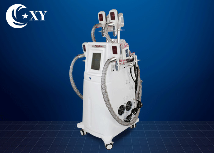 Ce Certificate Salon Cryolipolysis Slimming Machine For Fat Loss