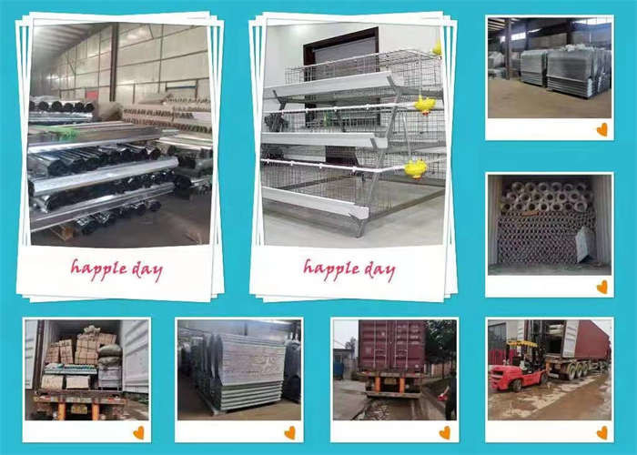3/4 Tiers A Type Layer Chicken Cage Q235 Layer Hen Cages With Automatic Drinking System