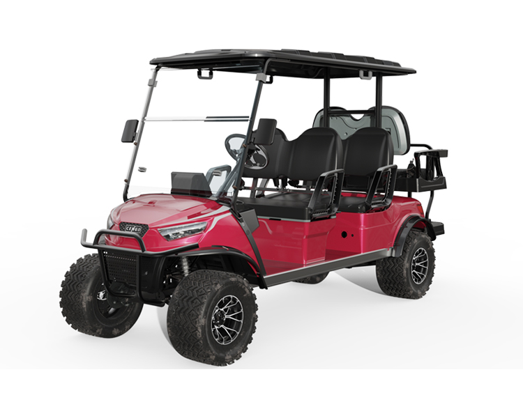 Street Legal Golf Cart NL-JA4 2.G Electric Buggy for Sightseeing Club 10% Climbing Ability 30Km/h Max. Speed