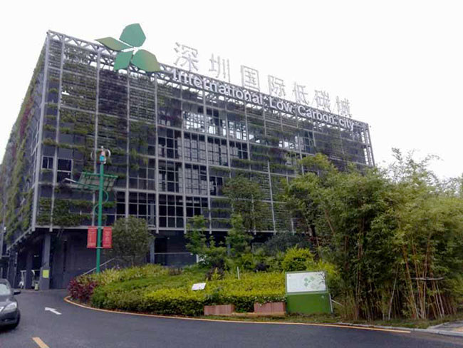 Industrial Park Road Wind Turbine Powered Street Lights ISO9001 Certification