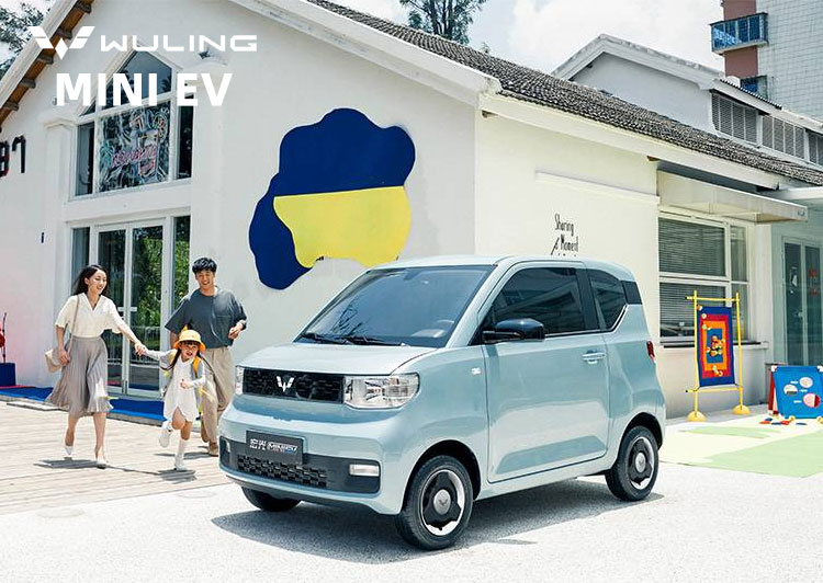 Rechargeable Mini EV Car