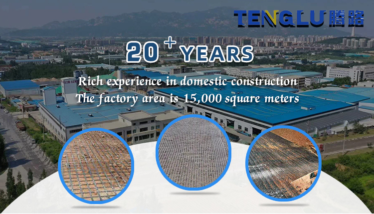 Geogrid for Road Airport Railway Slope and River Bank Surface Resistance Engineering