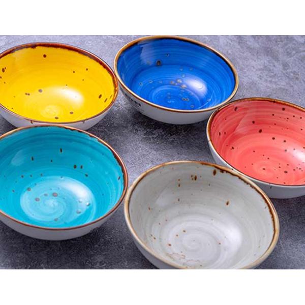 5 Inch Multicolor Speckle Ceramic Bowl Set With Rim