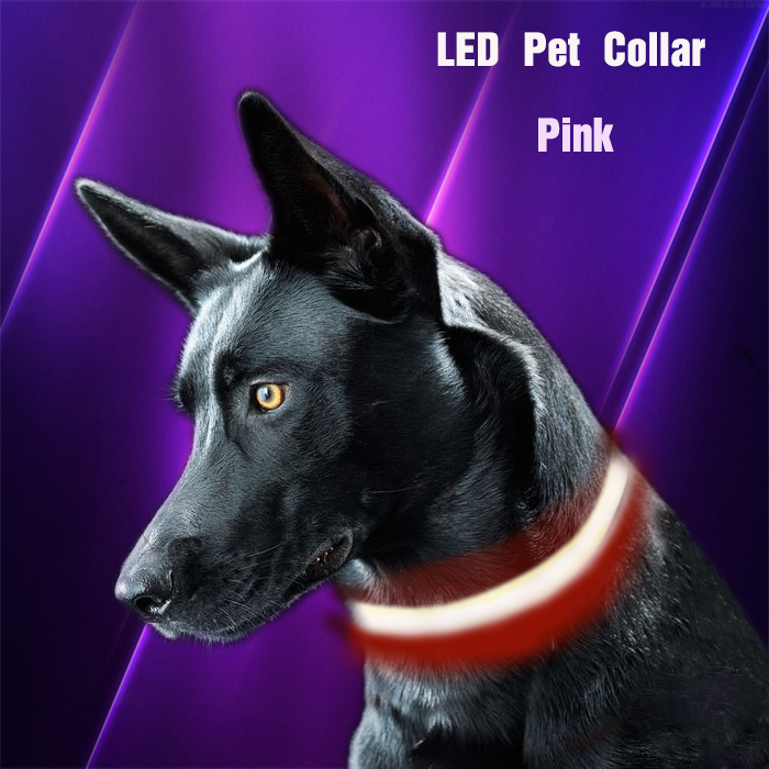 Custom USB LED Dog Collar Nylon Print Adjustable Reflective Rechargeable Waterproof