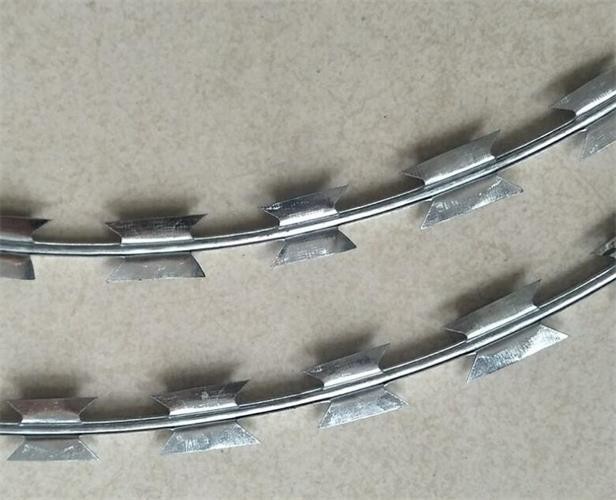 Galvanized Concertina Razor Wire of Fence System for High Security Areas