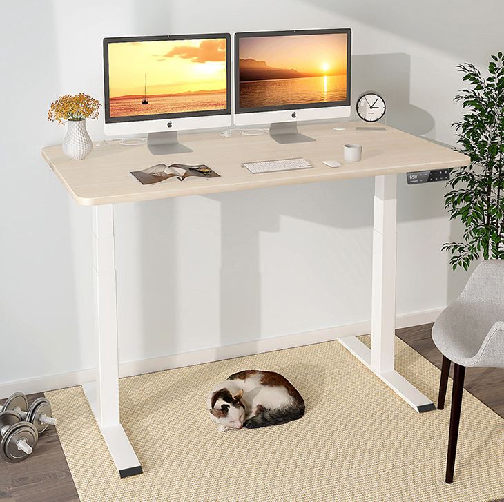 Adjustable Height Double Motor Desk for Middle Minimalistic Coffee Table and Learning