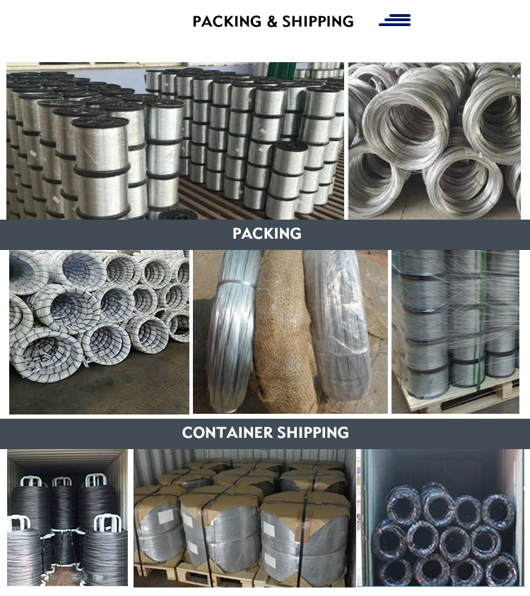 ASTM Standard Ms Hot Dipped Electro Gi Galvanized Steel Wire with AISI 1008 1006 0.3mm 2mm 4mm in Barbed Wire