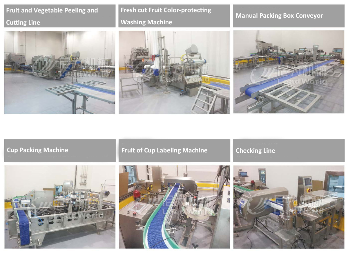 Asparagus Cutting Washing Processing Line / Broccoli Production Machine / Asparagus Processing Machinery Line