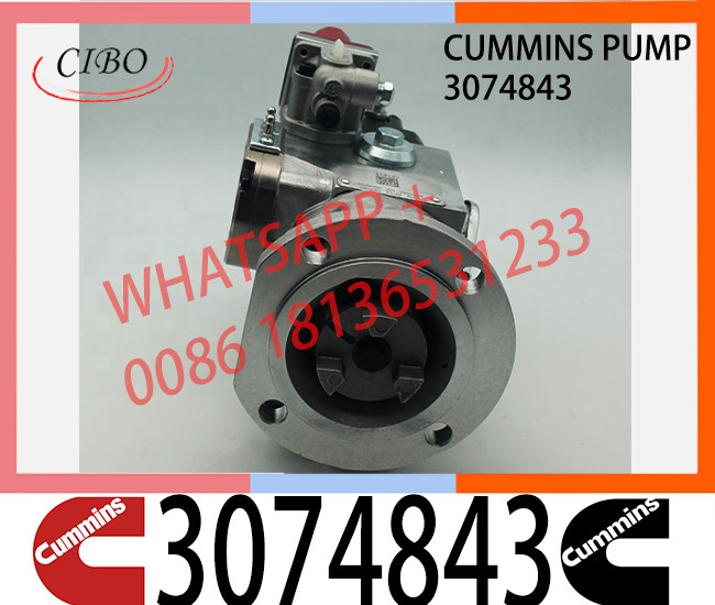 Diesel Engine Parts Fuel Injection PT Pump 3165399 3074835 3074843 For Cummins NTA855
