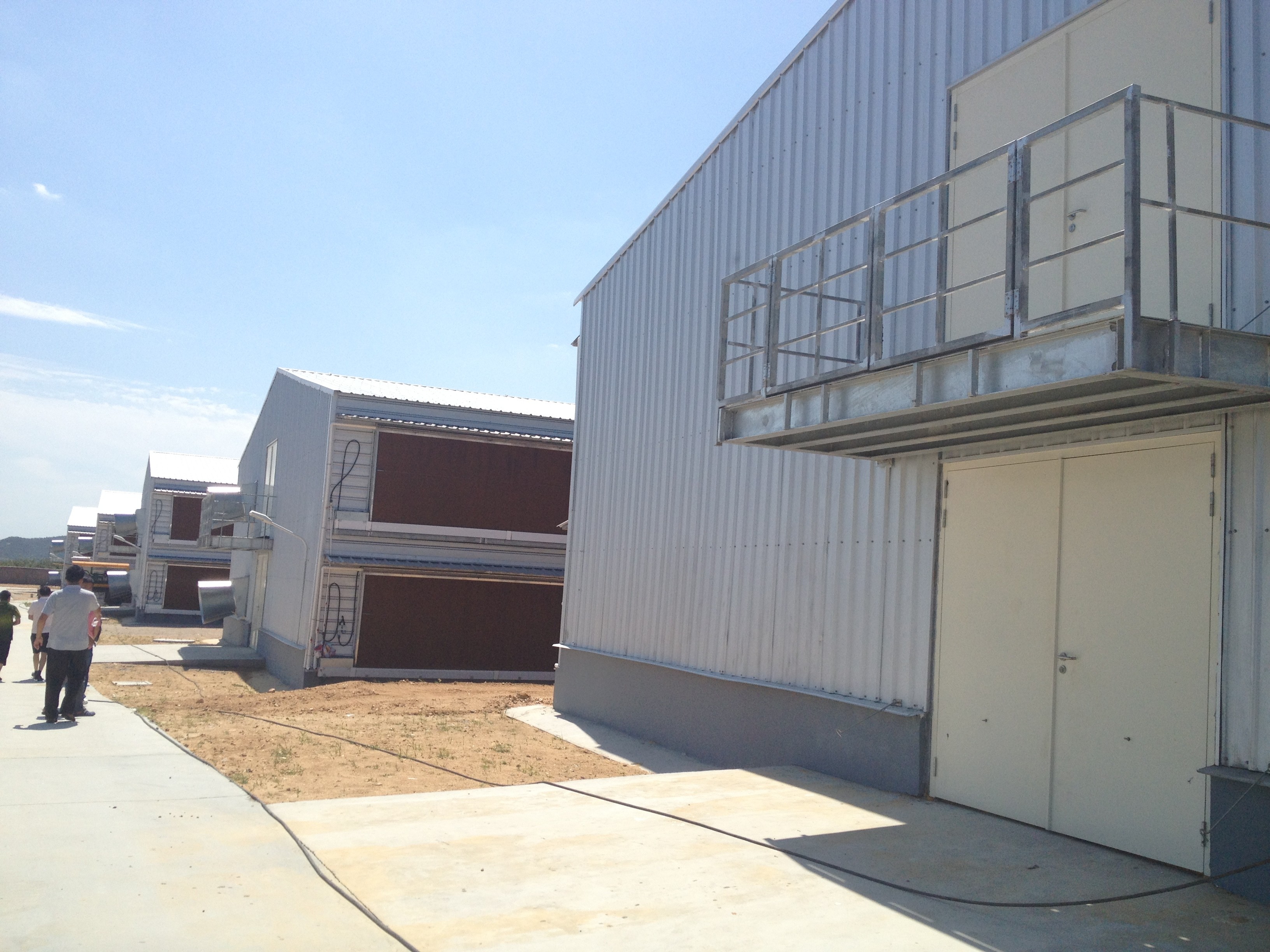 Galvanized Steel Frame Chicken House Bolts Connection Steel Structure Poultry Sheds