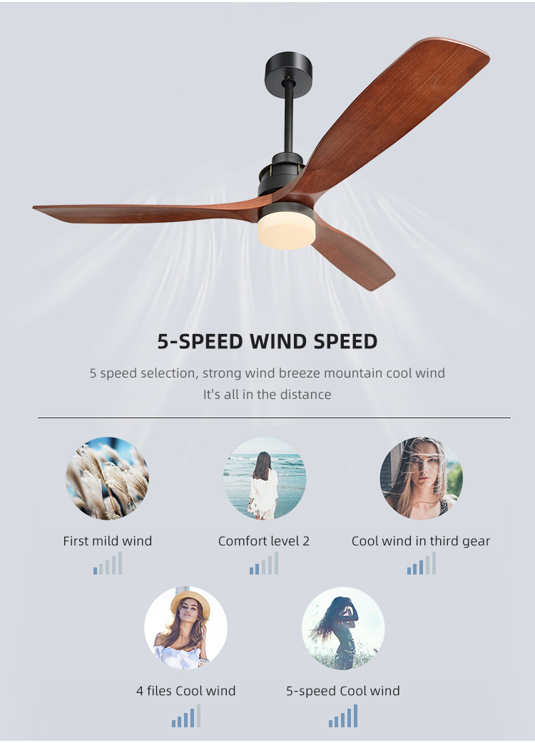 Fashion Adjustable 65W 60 Inch 3 Blade Ceiling Fan Light 1500lm